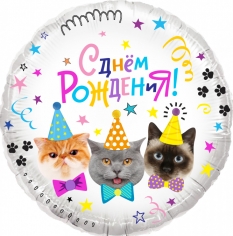 Шар Круг, Котики, С Днем Рождения! (в упаковке)